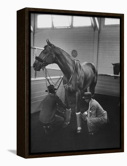 Silky Sullivan Being Prepared for the Santa Anita Derby-Allan Grant-Framed Premier Image Canvas