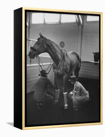 Silky Sullivan Being Prepared for the Santa Anita Derby-Allan Grant-Framed Premier Image Canvas