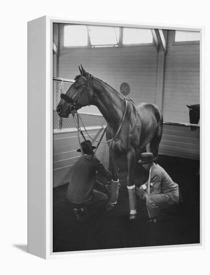 Silky Sullivan Being Prepared for the Santa Anita Derby-Allan Grant-Framed Premier Image Canvas