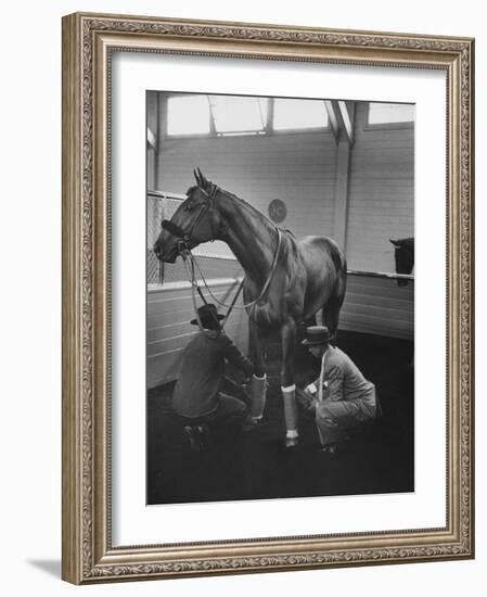 Silky Sullivan Being Prepared for the Santa Anita Derby-Allan Grant-Framed Photographic Print