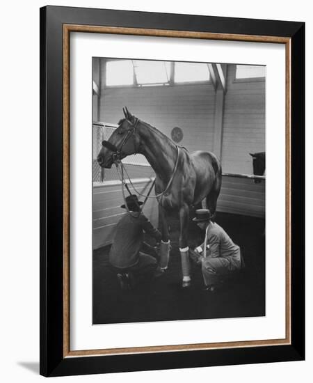 Silky Sullivan Being Prepared for the Santa Anita Derby-Allan Grant-Framed Photographic Print