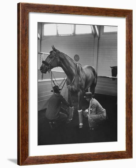 Silky Sullivan Being Prepared for the Santa Anita Derby-Allan Grant-Framed Photographic Print