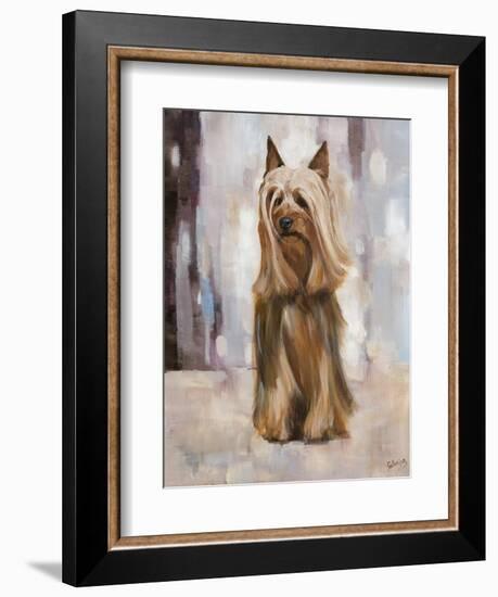 Silky Terrier I-Solveiga-Framed Giclee Print