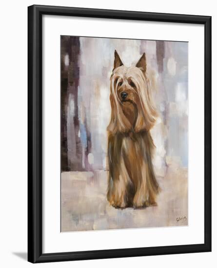 Silky Terrier I-Solveiga-Framed Giclee Print