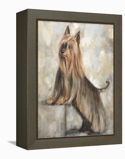 Silky Terrier II-Solveiga-Framed Premier Image Canvas