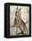 Silky Terrier II-Solveiga-Framed Premier Image Canvas
