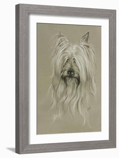 Silky Terrier-Barbara Keith-Framed Giclee Print