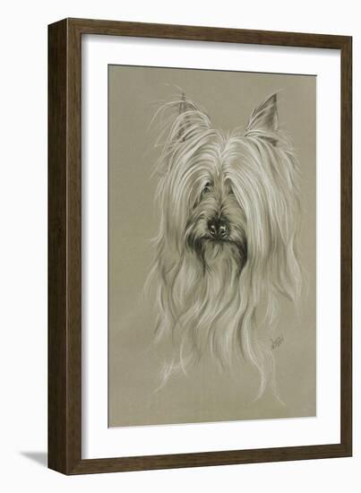 Silky Terrier-Barbara Keith-Framed Giclee Print