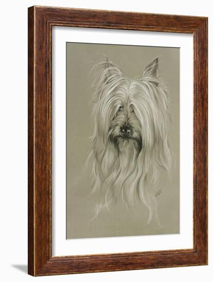 Silky Terrier-Barbara Keith-Framed Giclee Print