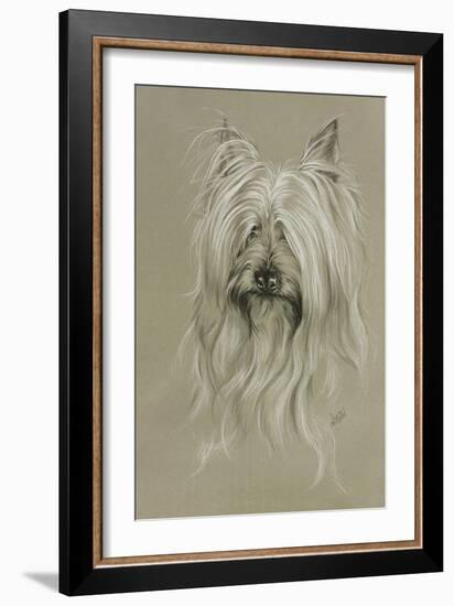 Silky Terrier-Barbara Keith-Framed Giclee Print