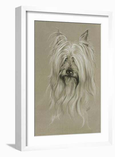 Silky Terrier-Barbara Keith-Framed Giclee Print