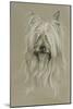 Silky Terrier-Barbara Keith-Mounted Giclee Print