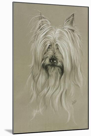 Silky Terrier-Barbara Keith-Mounted Giclee Print