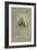 Silky Terrier-Barbara Keith-Framed Giclee Print