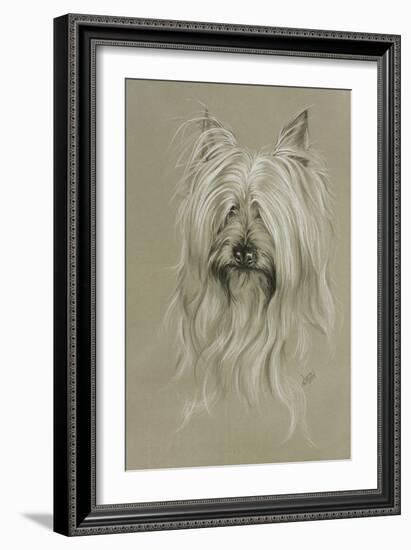 Silky Terrier-Barbara Keith-Framed Giclee Print