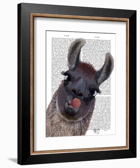 Silly Llama-Fab Funky-Framed Premium Giclee Print