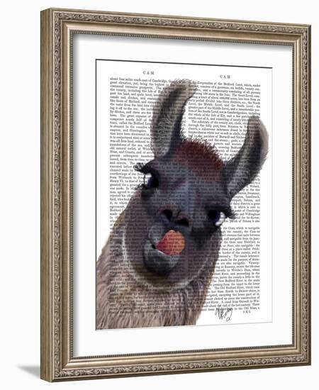 Silly Llama-Fab Funky-Framed Art Print