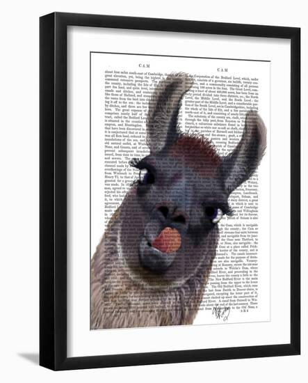 Silly Llama-Fab Funky-Framed Art Print