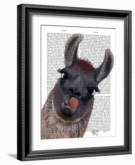 Silly Llama-Fab Funky-Framed Art Print