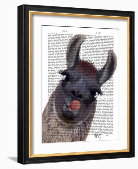 Silly Llama-Fab Funky-Framed Art Print