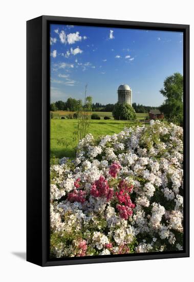 Silo and Wild Roses in Marion County, Oregon, USA-Jaynes Gallery-Framed Premier Image Canvas