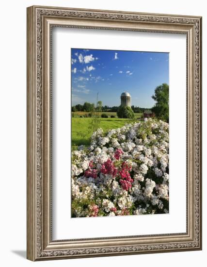 Silo and Wild Roses in Marion County, Oregon, USA-Jaynes Gallery-Framed Photographic Print