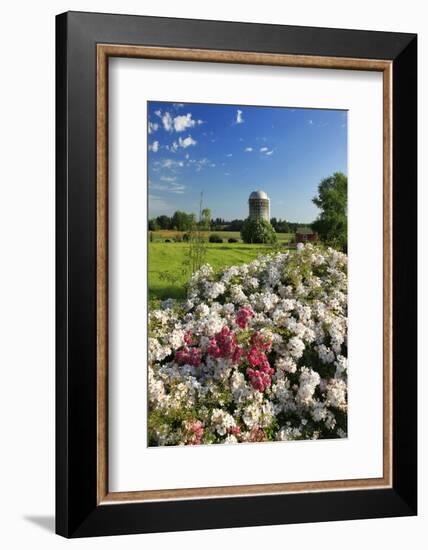 Silo and Wild Roses in Marion County, Oregon, USA-Jaynes Gallery-Framed Photographic Print