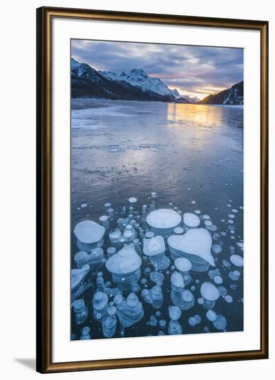 Silvaplana, Engadine valley, Switzerland. Frozen bubbles in the Lake Silvaplana (Silvaplanersee) on-Marco Bottigelli-Framed Photographic Print