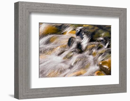 Silver and Gold-Ursula Abresch-Framed Photographic Print