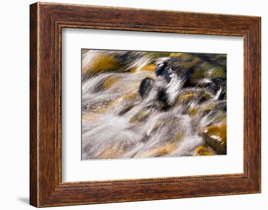 Silver and Gold-Ursula Abresch-Framed Photographic Print