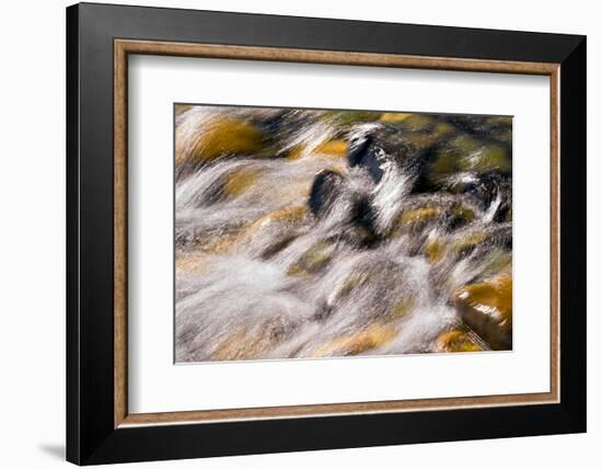 Silver and Gold-Ursula Abresch-Framed Photographic Print