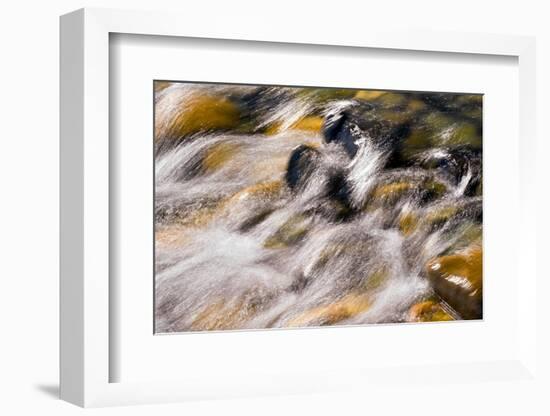 Silver and Gold-Ursula Abresch-Framed Photographic Print