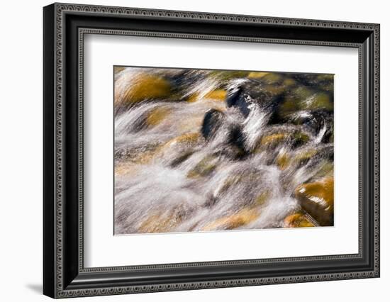 Silver and Gold-Ursula Abresch-Framed Photographic Print