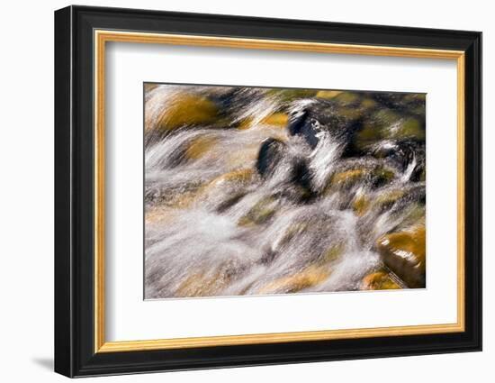 Silver and Gold-Ursula Abresch-Framed Photographic Print