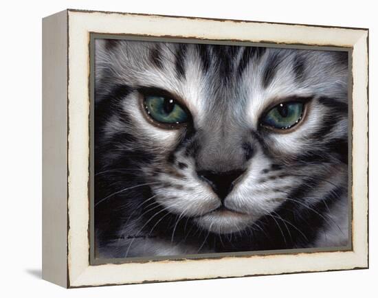 Silver Bengal Cat-Sarah Stribbling-Framed Stretched Canvas