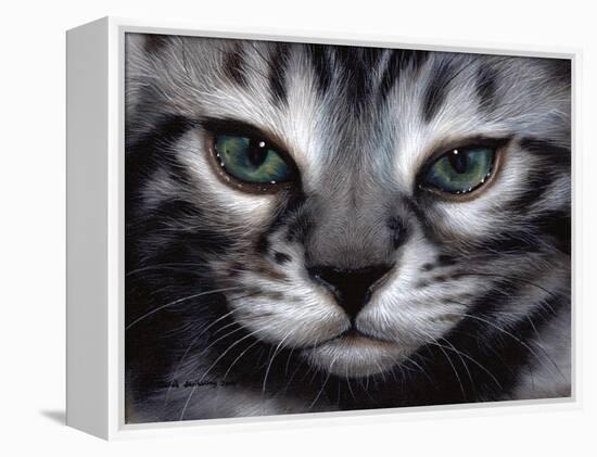 Silver Bengal Cat-Sarah Stribbling-Framed Stretched Canvas