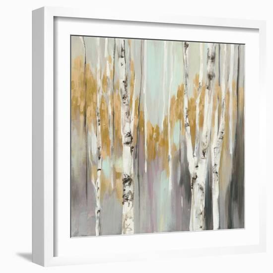 Silver Birch II-Julia Purinton-Framed Art Print