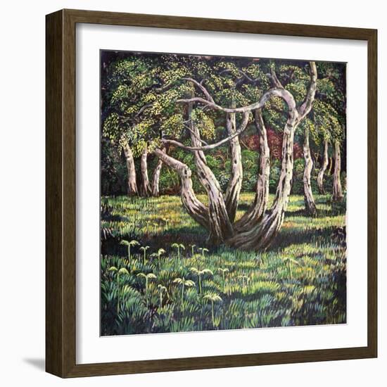 Silver Birch Trees, 1988-Liz Wright-Framed Giclee Print