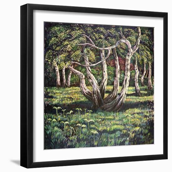 Silver Birch Trees, 1988-Liz Wright-Framed Giclee Print