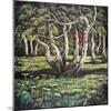 Silver Birch Trees, 1988-Liz Wright-Mounted Giclee Print