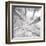 Silver Birch-Adam Brock-Framed Art Print