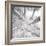 Silver Birch-Adam Brock-Framed Premium Giclee Print