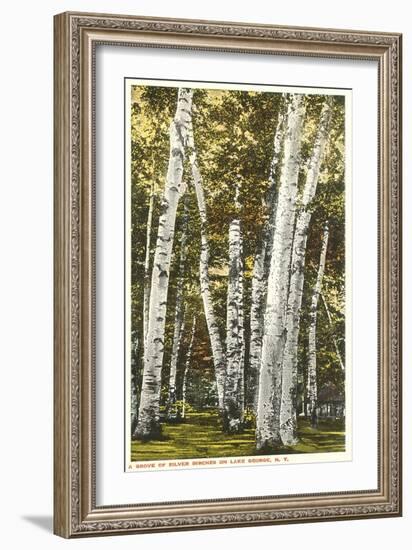 Silver Birches, Lake George, New York-null-Framed Art Print