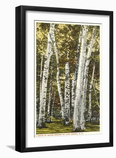 Silver Birches, Lake George, New York-null-Framed Art Print