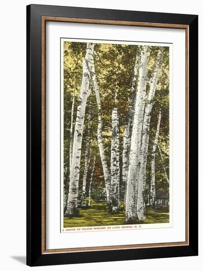 Silver Birches, Lake George, New York-null-Framed Art Print