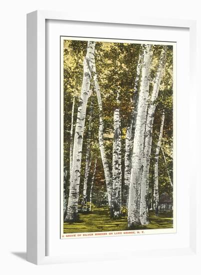 Silver Birches, Lake George, New York-null-Framed Art Print