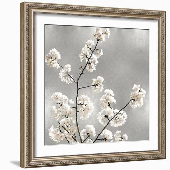 Silver Blossoms I-Kate Bennett-Framed Art Print