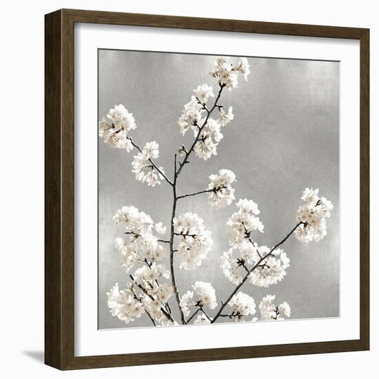 Silver Blossoms I-Kate Bennett-Framed Art Print