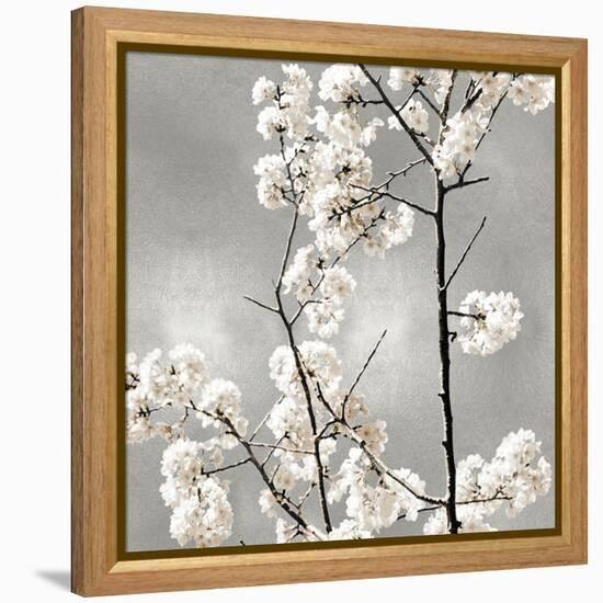 Silver Blossoms II-Kate Bennett-Framed Stretched Canvas