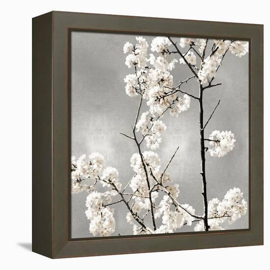 Silver Blossoms II-Kate Bennett-Framed Stretched Canvas